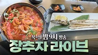 장추자 라이브 방송