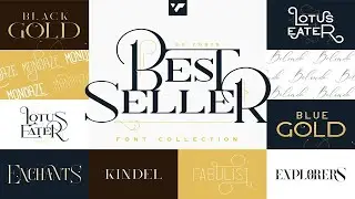 The Bestseller Font Collection Font Free Download
