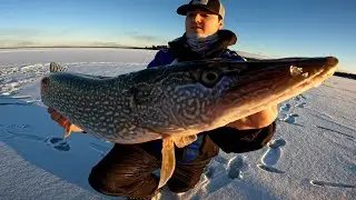 FIRST ICE - Lake Nipissing Walleye