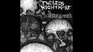 Endless Nightmare / Dissystema - Split EP 2005 (Full Album)
