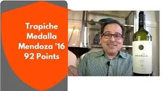 Trapiche Medalla Mendoza Malbec  '16 92 Points