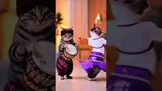 Cat funny video #drummer #dhol #music