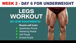 Full Intense LEG WORKOUT Session At Home - Train Quadriceps Hamstring Calf Gluteal | NO EQUIPMENT