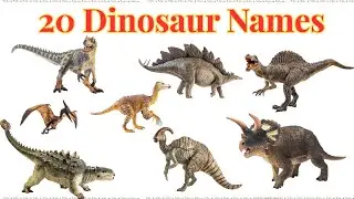 20 Dinosaur Names ,Dinosaur Names in English , डायनासोर के नाम Dinosaur for kids #dinosaur