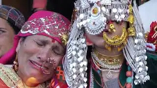 Traditional  Pahadi & Kinnauri Wedding Highlight 2021 Pallavi x Sudhir Kingson Studio 9418134442