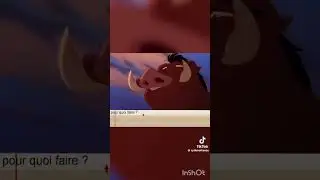doublage amateur de Pumba du roi lion #doublage #doublagefran&ccedil;ais