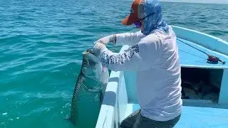 Tarpon fishing - Isla Holbox Mexico