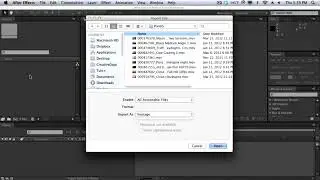 ADOBE AFTER EFFECTS  TUTORIAL NO.3  (Workspace and Project Management)