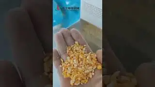 20ton corn mill, maize milling machine for 20 tonnes a day #maizemill #flourmillmachine #flourmill