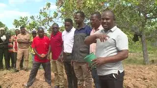 HALMASHAURI YA LUDEWA WABUNI CHANZO KINGINE CHA MAPATO/SASA NI ZAO LA UFUTA/WANANCHI WAGAWIWA MBEGU/