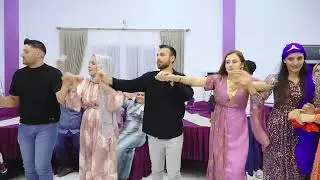 cosuf 2024 Delilo