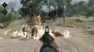 Hunt Showdown  PVE only