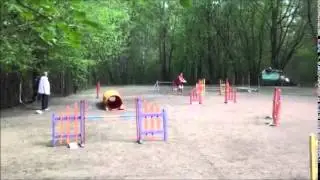 Нэйт Чемпионат МФ 02 05 14