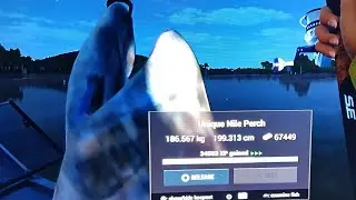 (Fishing planet) How to catch unique nile perch.  All the steps