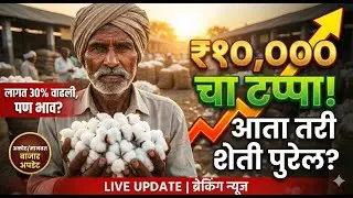 १०,००० भाव आला तरच शेती वाचेल? | Cotton Price Today | Akot Manwat Market Update