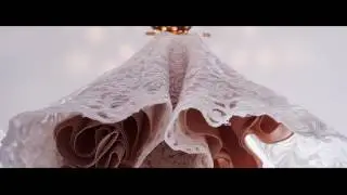 Wedding Trailer