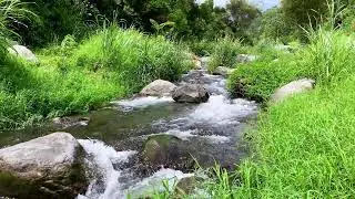 Tranquil River Flow &ndash; 10 Hours of Water ASMR  - Stress, Anxiety Relief & Meditation Sounds
