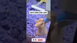 SHY GIRLS ALWAYS BE LIKE #funnyvideo