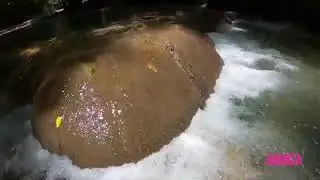 Dunn's River Falls & Park Virtual Tour
