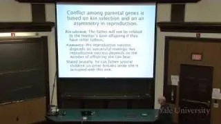 10. Genomic Conflict