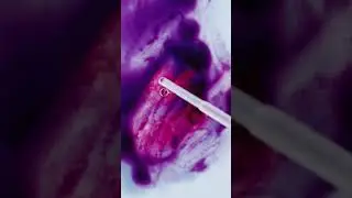 Purple Sweet Potato Ube Handmade Watercolor pH down color change purple to pink