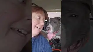 Bait Dog Survivor Travis Gets His Second Chance at Love