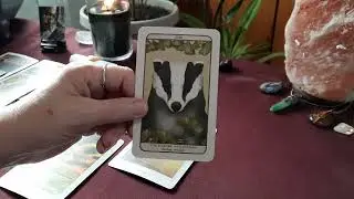 LEO: Success can be yours!