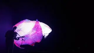 EDEN - Crash // Dublin 2020