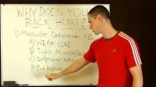 Back Pain Relief 4Life - WHY DOES YOUR BACK HURT?