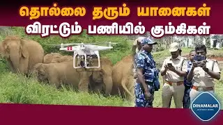 ட்ரோன் கேமரா மூலம் வனக்குழு கண்காணிப்பு | Nuisance wild elephants | Repellent kumkis | Pandalur