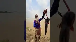 Caught a Massive 5KG Fish! 🐟 Unbelievable Fishing Moment! #FishingLife