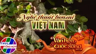 Văn h&oacute;a v&agrave; Cuộc sống: Nghệ thuật Bonsai