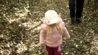 T&uuml;nde baba- erdőben