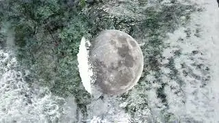 Elemente Acqua e Legno