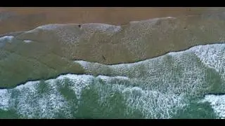 DJI Phantom 4 Pro Sample 4k Video