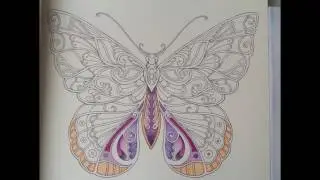 Quick Butterfly Coloring from Magical Jungle by Johanna Basford