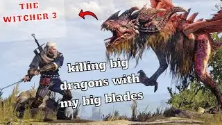The Witcher 3 | killing dragons and monsters and some thiefs groups