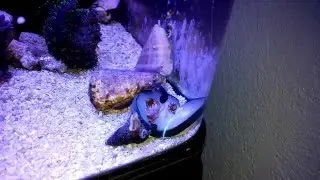 Snail picnic