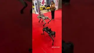 Quadruped Robots Ramp Show #shorts #viral #quadruped #ai