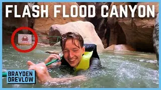 BEST Action-packed Adventure in Jordan &mdash; (Raging waters, Cliff-jumps, and Waterfalls)