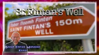 St Fintan&rsquo;s Well  at Clonenagh, Cromogue, Raheen, Co. Laois
