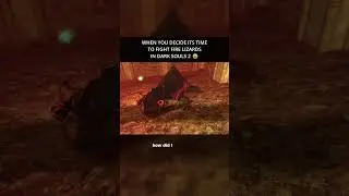 The Funniest Fire Lizard Encounter in Dark Souls 2