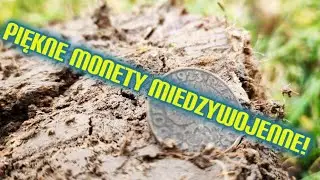 Wykopki i piękne monety miedzywojenne! Nowa miejscówka zaskoczyła! Rutus Alter 71
