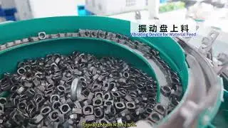 TCWB M20TG 2 Nut Tapping Machine#machine #nuttappingmachine #factoryproducts #machiningprocess
