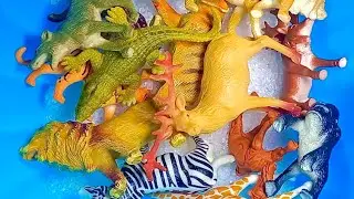 Animals name | learning | animals for kids | Raju Kids Show