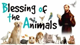The Blessing of the Animals 2024