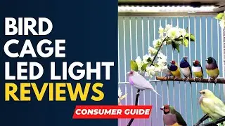✅ Best Bird Cage Light Reviews [ Real Buyers Reviews ]
