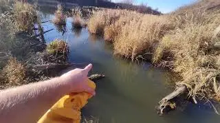 23 октября 2025 г. — Обустройство в Beaver Paradise