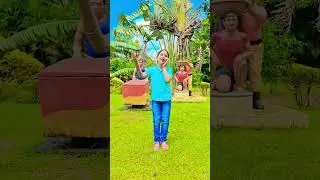 Ram Ji Se Puche Janakpur ki Naari #viralvideo #viralmusic #youtubeshorts #shortsfeed #song #love