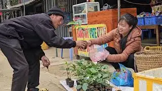 The couple's life revolved around building a farm and harvesting fresh ginger to sell. Linh's Life